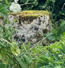 Stone partly hidden by grass
